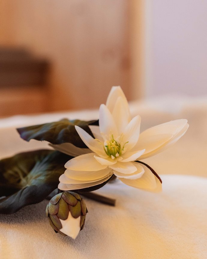 Ein Detail unseres Wellnessbereichs Eine Blume in unserem Wellnessbereich