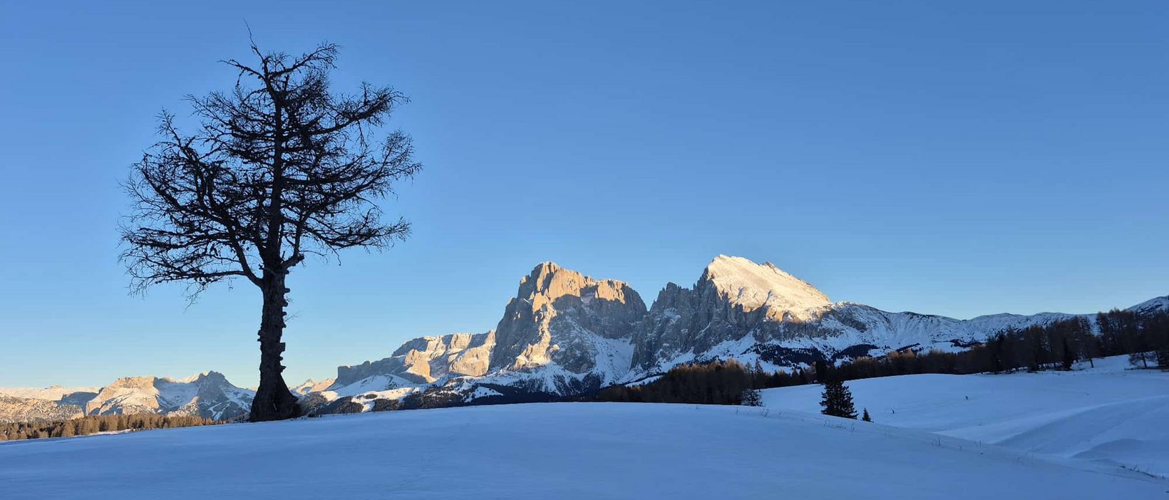 Ihre Hotels auf der Seiser Alm Ihre Hotels auf der Seiser Alm