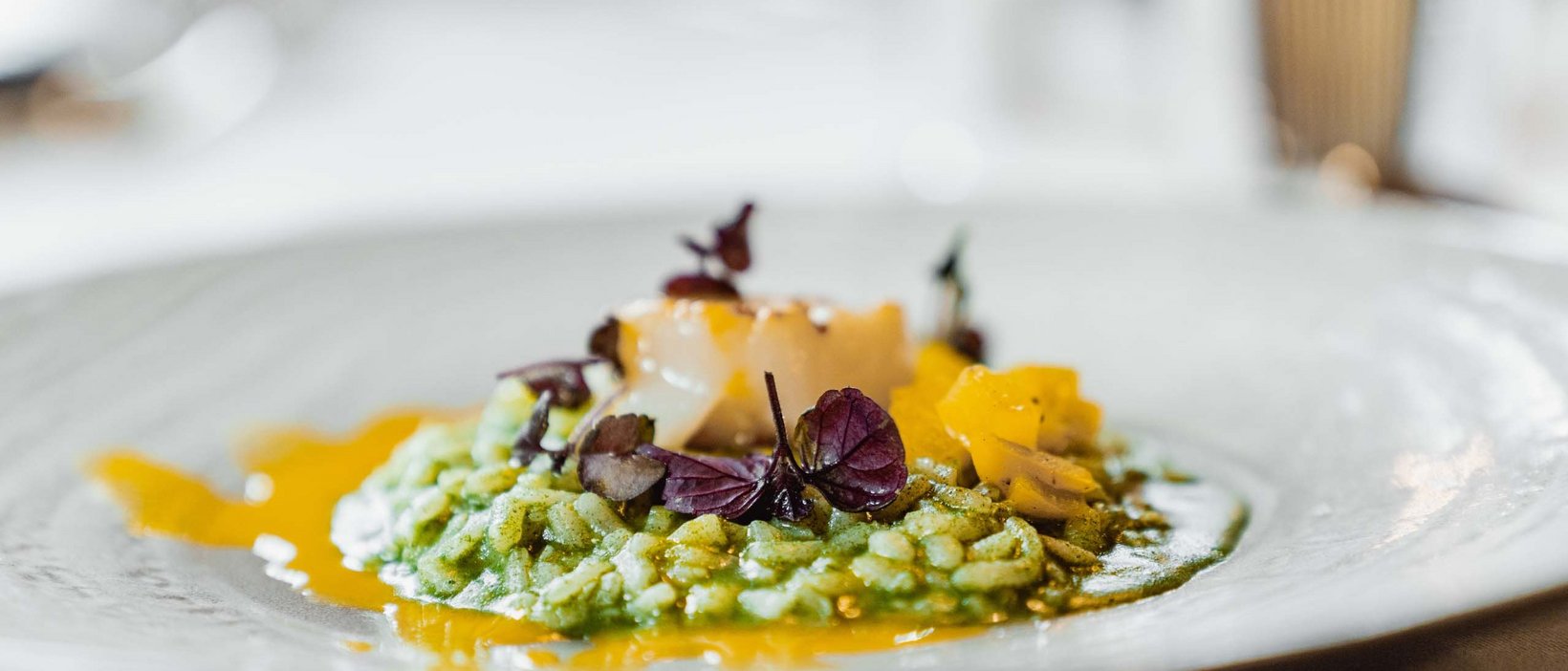 Ein Gourmet-Risotto Ein Gourmet-Risotto